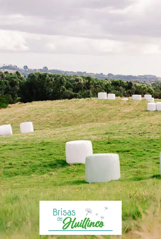 Brisas-de-Huillinco