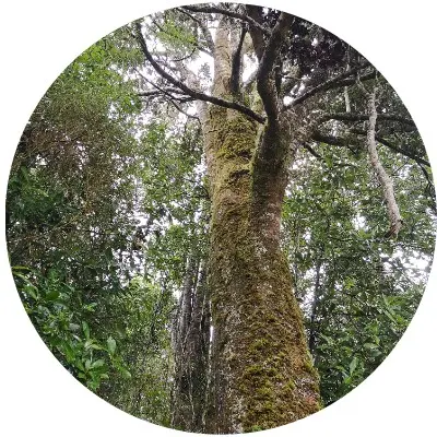 Costa los navegantes1