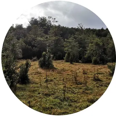 Costa los navegantes4