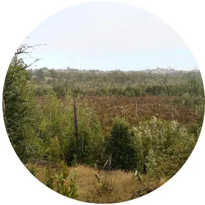 Costa los navegantes7