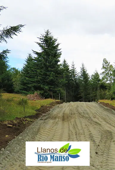 Llanos-de-río-manso