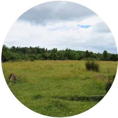 Llanos de rio manso2