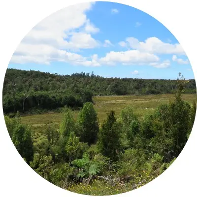 Llanos de rio manso4