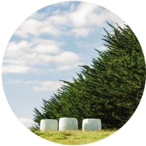 Lote 1 en Brisas de Huillinco