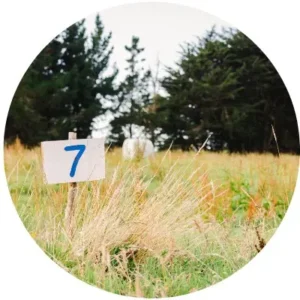 Lote 2 en Brisas de Huillinco