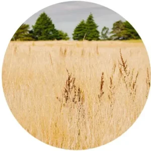 Lote 3 en Brisas de Huillinco