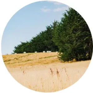 Lote 4 en Brisas de Huillinco