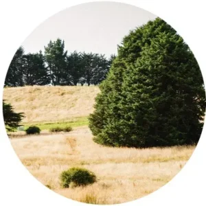 Lote 5 en Brisas de Huillinco