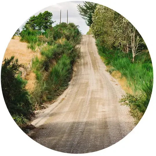 Tipos de parcelas en chiloe