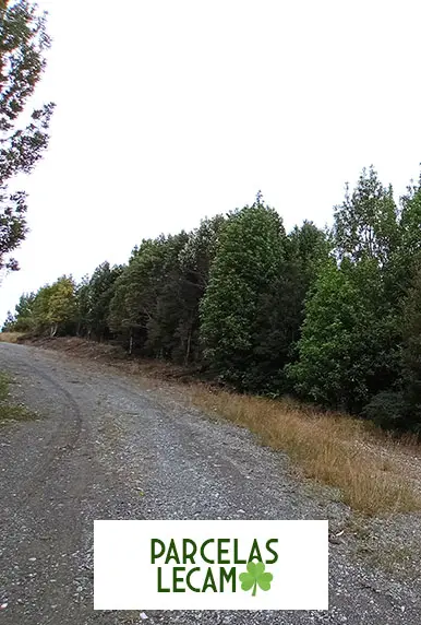 Parcelas-Lecam