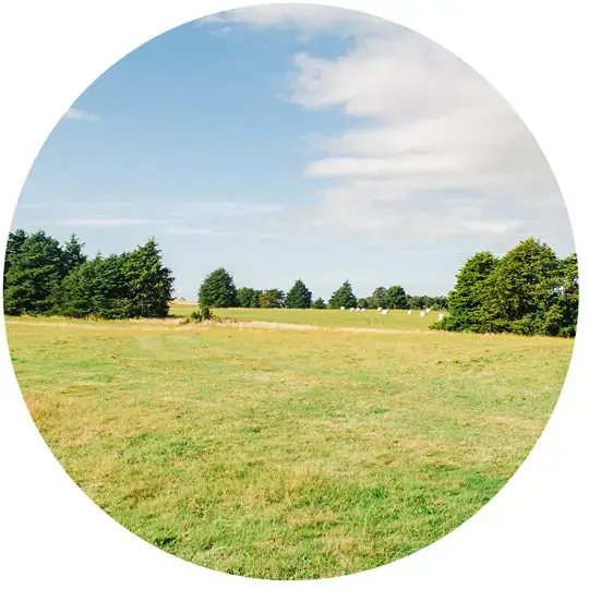 Tipos de parcelas en chiloe