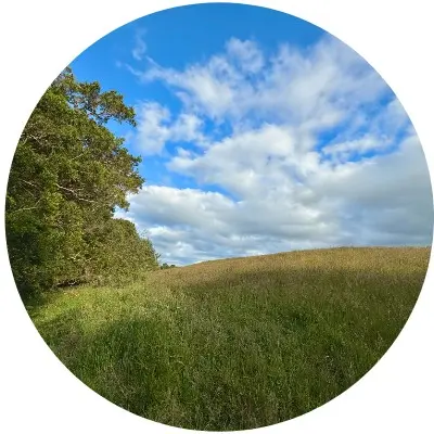 Praderas de Caipuli 5.