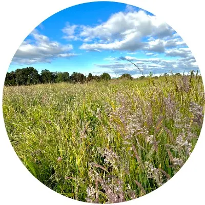 Praderas de Caipulli 2.