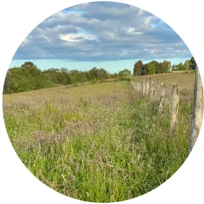 Praderas de Caipulli 3