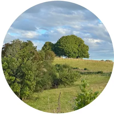 Praderas de Caipulli 4