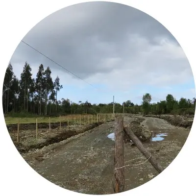 Proyecto Valle Los Canelos1