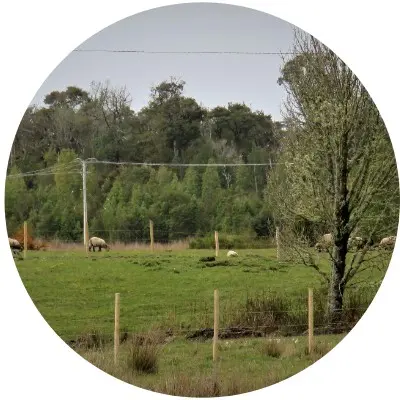 Proyecto Valle Los Canelos4