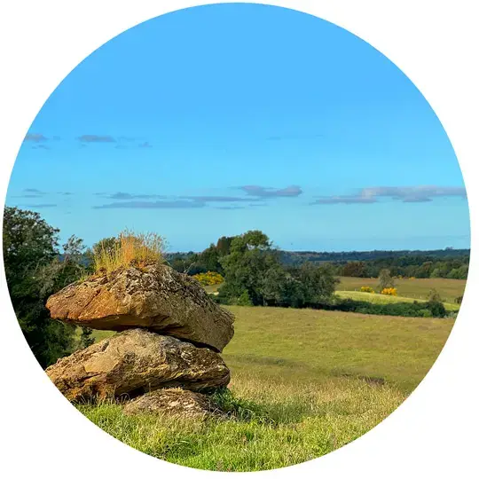 Tipos-de-parcelas-en-chiloe