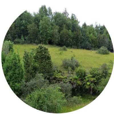 Valle de aguas buenas1