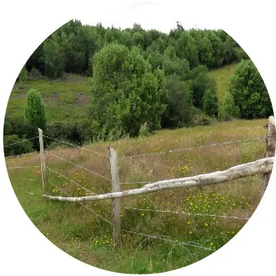 Valle de aguas buenas2