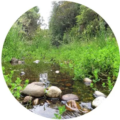 Valle de aguas buenas4