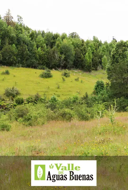 valle de aguas buenas
