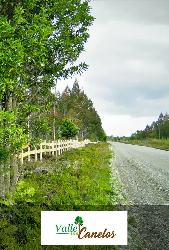 valle los canelos