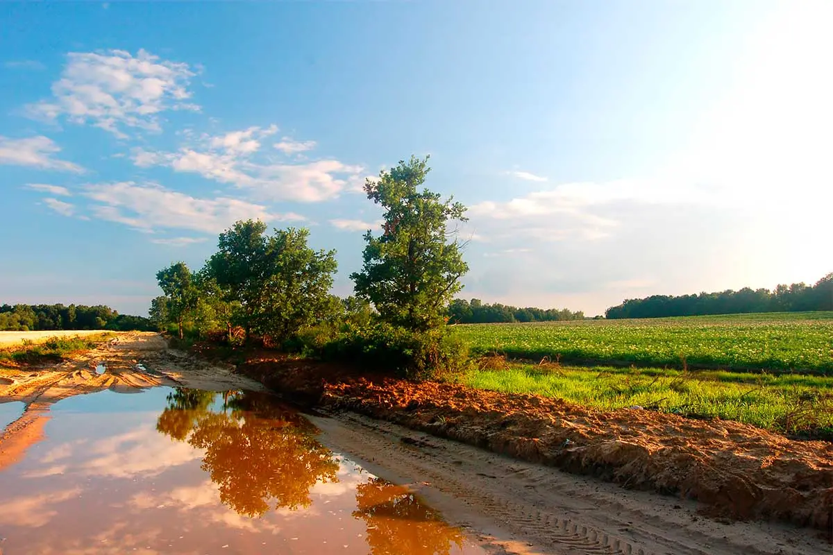 Certificado de dominio vigente
