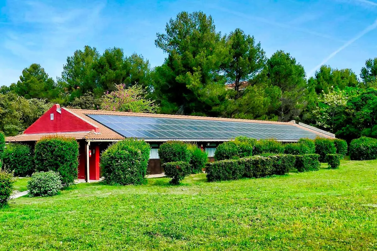 Certificado de dominio vigente